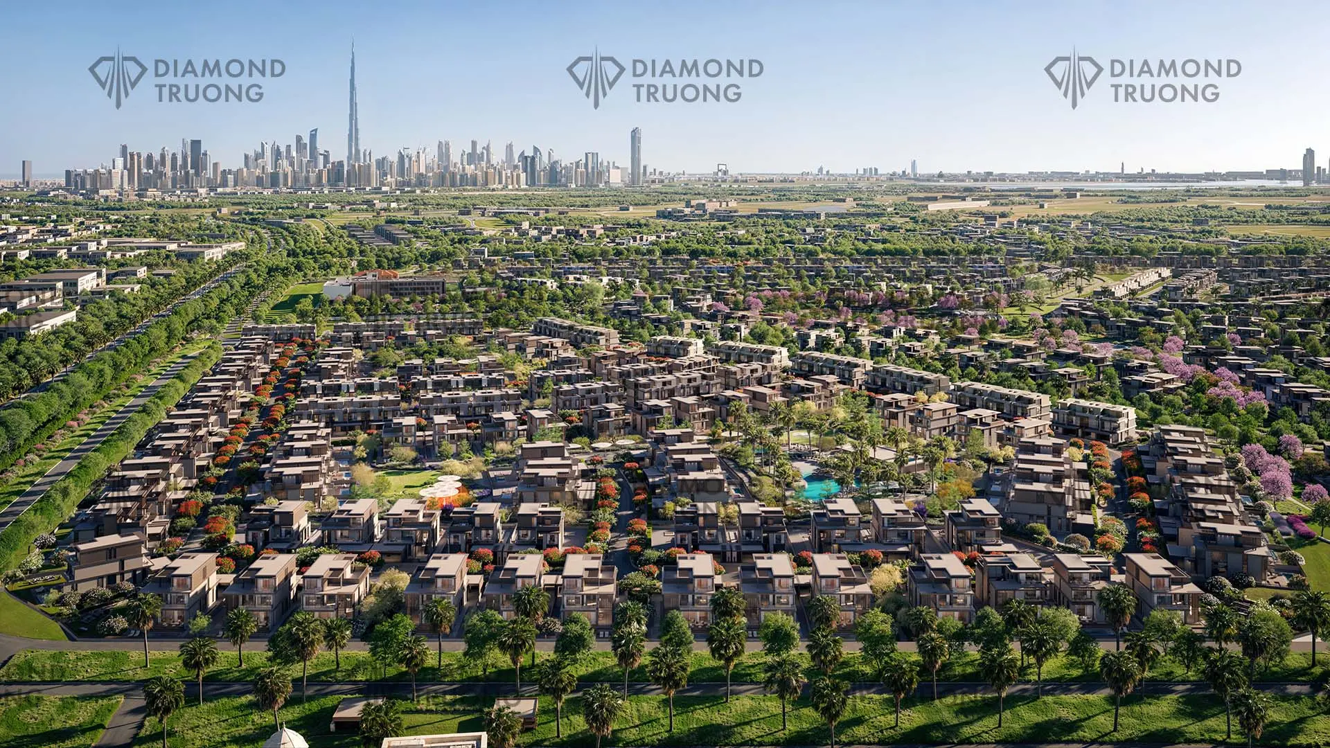 Nad AI Sheba Aerial View