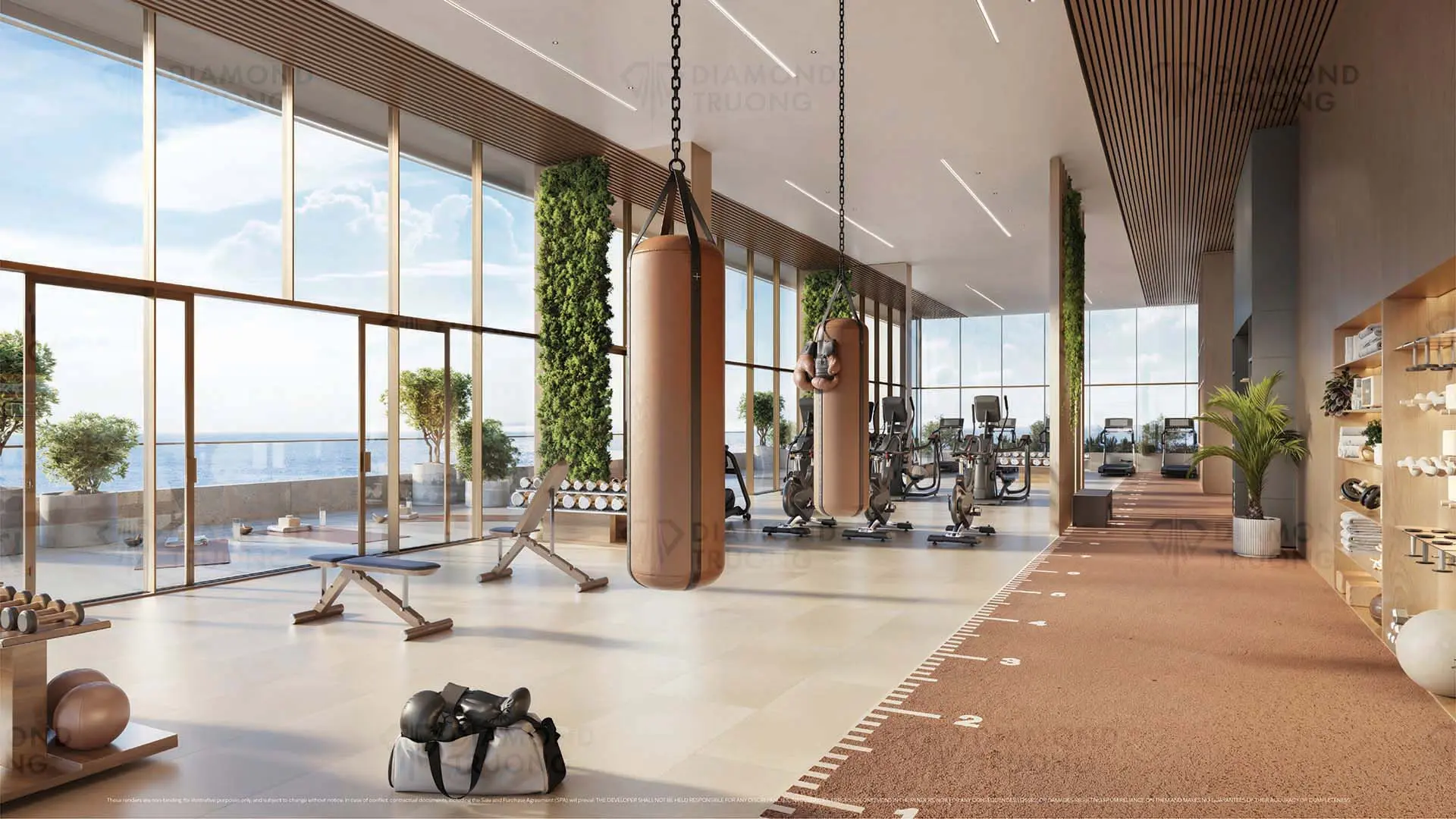 The Mural Gym Area